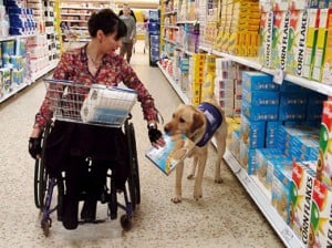service-dog-shopping