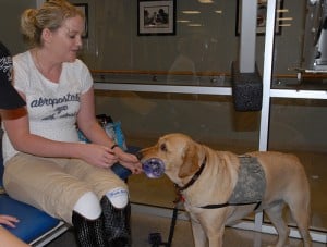 service-dog-fetching-drink